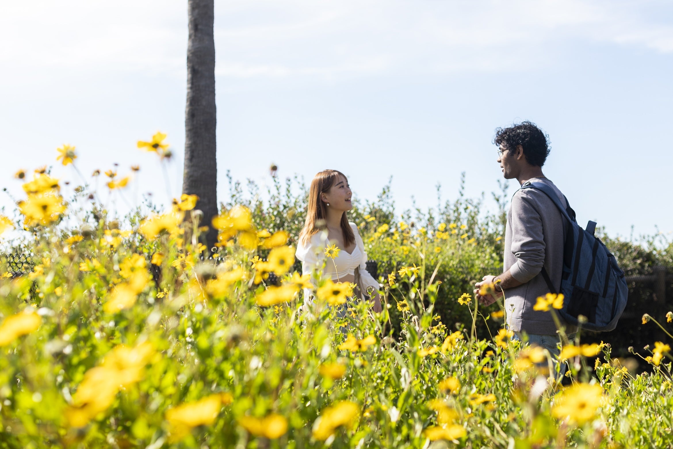 Two adults facing each other, surrounded by yellow flowers